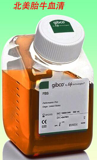 胎牛血清(北美血源) 主圖
