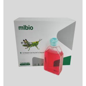 人肺大靜脈內(nèi)皮細(xì)胞主圖