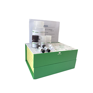 Strombine脫氫酶(SDH)活性測定試劑盒分光法/48樣主圖