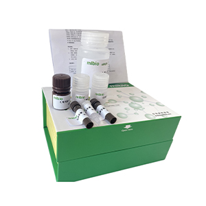 蘋(píng)果酸合酶(MS)活性測(cè)定試劑盒-可見(jiàn)顯色法微板法/48樣主圖