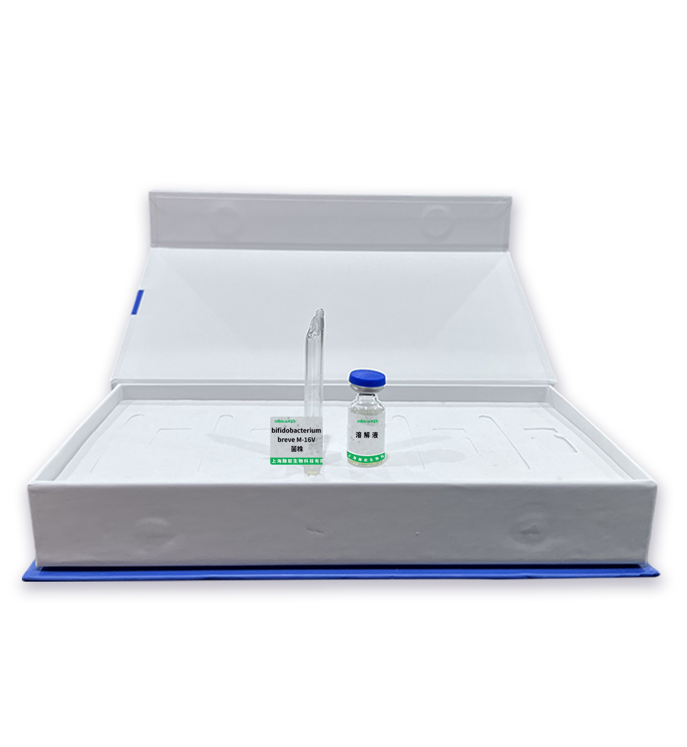 bifidobacterium breve M-16V 菌株主圖