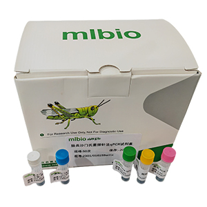 抗亞碲酸鹽大腸桿菌O157H7型探針法qPCR試劑盒(不含內(nèi)參)主圖