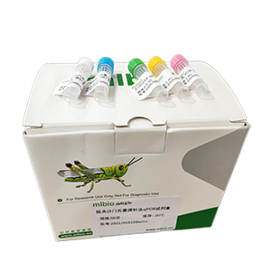 牛細小病毒qPCR試劑盒(不含內參)主圖