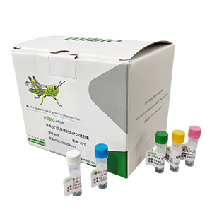 人腺病毒D25型探針?lè)╭PCR試劑盒（不含內(nèi)參）主圖