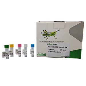 豬星狀病毒探針法qRT-PCR試劑盒(不含內(nèi)參)主圖