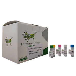 ?？虏《?5型探針法qRT-PCR試劑盒(不含內(nèi)參)主圖