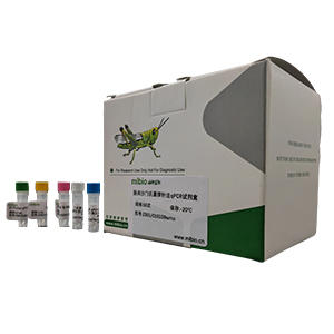 膀胱炎棒桿菌探針法qPCR試劑盒(不含內(nèi)參)主圖