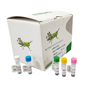 柯薩奇病毒A4型變種探針法qRT-PCR試劑盒(不含內(nèi)參)主圖