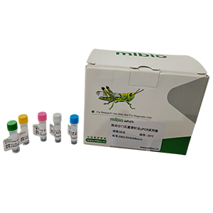 牛腺病毒2型探針法qPCR試劑盒(不含內(nèi)參)主圖