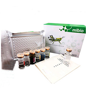 小鼠甲種胎兒球蛋白/甲胎蛋白(AFP)ELISA檢測(cè)試劑盒主圖