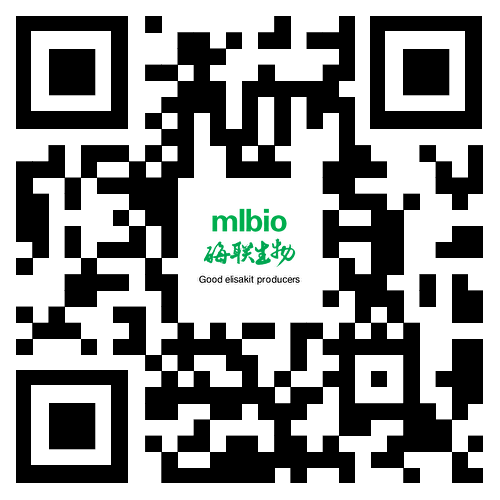 手機(jī)站二維碼